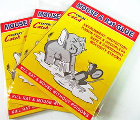 廠家直銷環(huán)保外貿(mào)粘鼠膠板——義烏市綠亞日用品廠，一站式采購指南